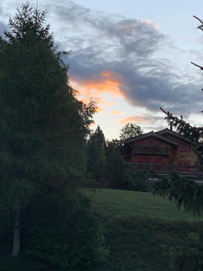 Ferienwohnung La Jacinthe De Crans Exterior foto